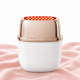 RF EMS Facial Care Device – Skin Firming & Rejuvenating Care